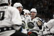 FIALA ALLSTARS - ZSC