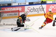 FRIBOURG - TIGERS