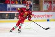 TIGERS - ZSC