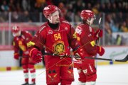 TIGERS - ZSC
