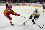 TIGERS - FRIBOURG