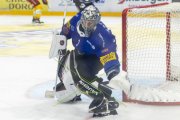 FRIBOURG - TIGERS