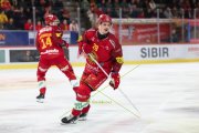 TIGERS - ZSC