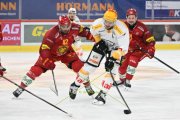 TIGERS - LUGANO