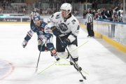 FIALA ALLSTARS - ZSC