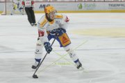 TIGERS - ZUG