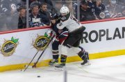 WINNIPEG - ARIZONA