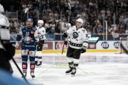 FIALA ALLSTARS - ZSC