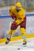 FRIBOURG - TIGERS