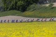 TOUR DE ROMANDIE 2026