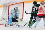 OLTEN - HCC