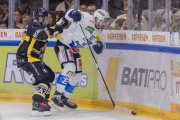 AJOIE - AMBRI