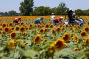 TOUR DE FRANCE 2025