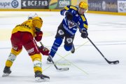 FRIBOURG - TIGERS