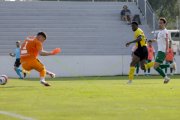 YB - KRIENS