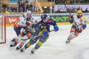DAVOS - ZSC