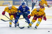 FRIBOURG - TIGERS