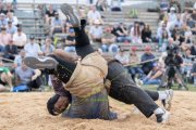 SOLOTHURNER KANTONAL SCHWINGFEST