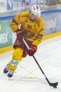 FRIBOURG - TIGERS
