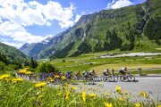 TOUR DE SUISSE 2025