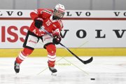 SCHWEIZ - FINNLAND