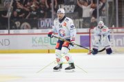 TIGERS - ZSC