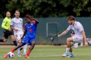BASEL - YVERDON