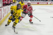 SCHWEIZ - SCHWEDEN