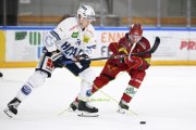 AMBRI - TIGERS