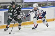 OLTEN - GCK LIONS