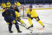TRAINING SCHWEDEN