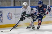 GCK LIONS - OLTEN
