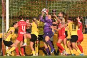 RAPPERSWIL - YB