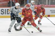 TIGERS - FRIBOURG