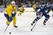 ZSC - DAVOS