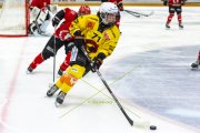 LAUSANNE - SC BERN