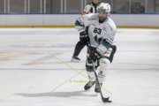 GCK LIONS - OLTEN