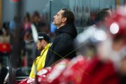 TIGERS - ZSC