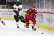 TIGERS - LAUSANNE
