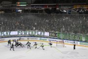 OLTEN - GCK LIONS