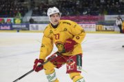 AMBRI - TIGERS