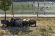 TRAINING LAUSANNE