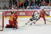TIGERS - LUGANO