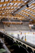 TIGERS - LAUSANNE