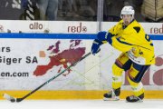 HCC - AROSA