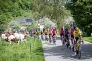 TOUR DE ROMANDIE 2025