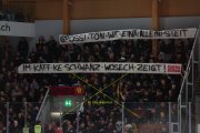 TIGERS - BERN