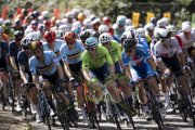 UCI ROAD WC 2024