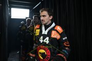 BERN - TIGERS