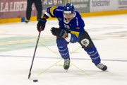 FRIBOURG - TIGERS